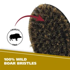 Small 100% Boar Bristle Beard Brush -Wahl Usa Store 03346 beardbrush.pt04 zd1j1wqk8kxy7qut