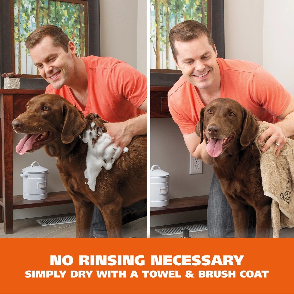 Waterless No-Rinse Dog Shampoo - Oatmeal 3 Waterless No-Rinse Dog Shampoo - Oatmeal - Image 3