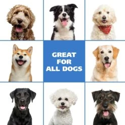 Waterless No-Rinse Dog Shampoo - Oatmeal 15 Waterless No-Rinse Dog Shampoo - Oatmeal -Wahl Usa Store 820015 waterless no rinse shampoo.pt08 1