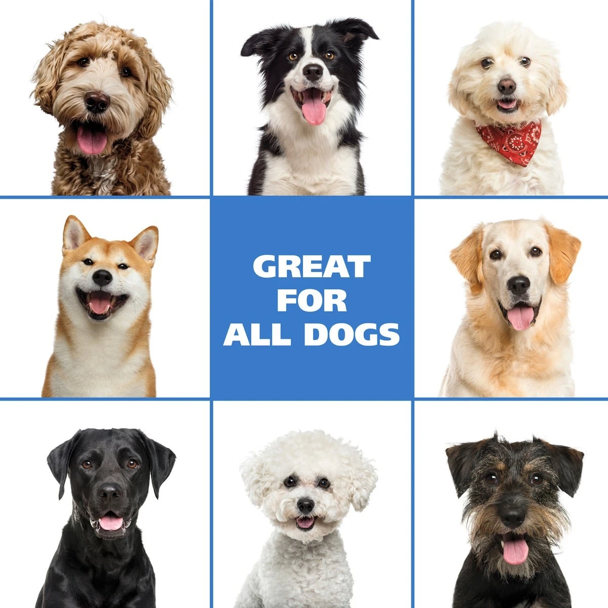 Waterless No-Rinse Dog Shampoo - Oatmeal 8 Waterless No-Rinse Dog Shampoo - Oatmeal - Image 8