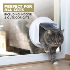 Refresh Large Cat Wipes - Coconut Lime Verbena -Wahl Usa Store 820017 500 cat pet wipes.pt06