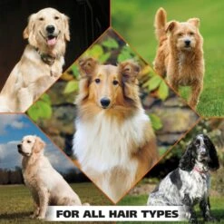 Refresh Large Dog Wipes - Coconut Lime Verbena -Wahl Usa Store 820017 refresh wipes amazon pt06