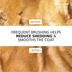 Small Dog Slicker Brush For Debris Removal -Wahl Usa Store 858406 small slicker.pt07