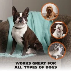 Dog Nail Clipper -Wahl Usa Store 858448 nail clipper.pt07