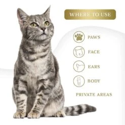 Refresh Large Cat Wipes - Coconut Lime Verbena -Wahl Usa Store wahl wipes cleaning refresh cat coconut 820017 500 feature1 web 1024x1024 1